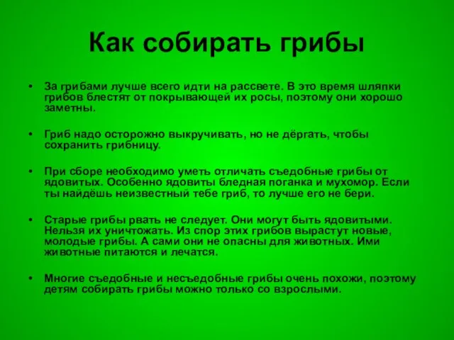 Как собирать грибы За грибами лучше всего идти на рассвете. В