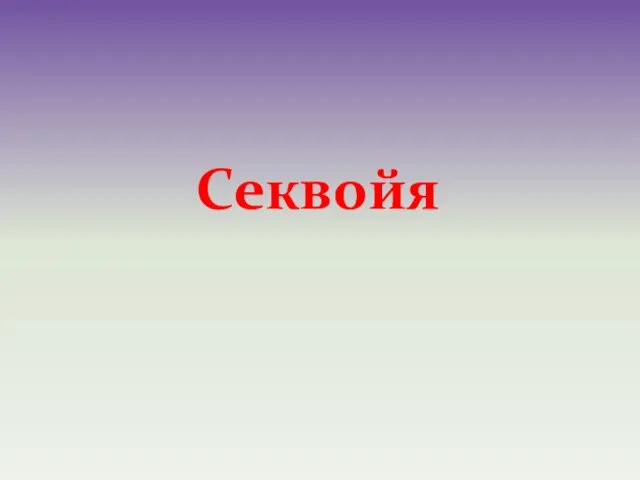 Секвойя