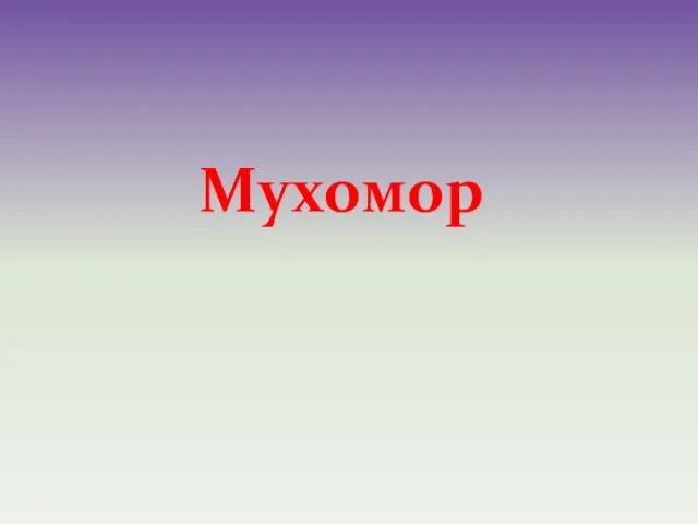 Мухомор