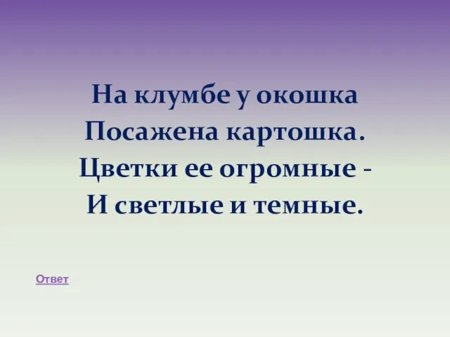 На клумбе у окошка Посажена картошка. Цветки ее огромные - И светлые и темные. Ответ