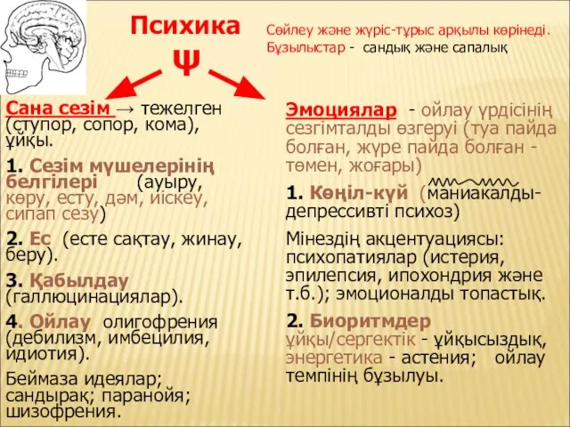 Психика Сөйлеу және жүріс-тұрыс арқылы көрінеді. Бұзылыстар - сандық және сапалық