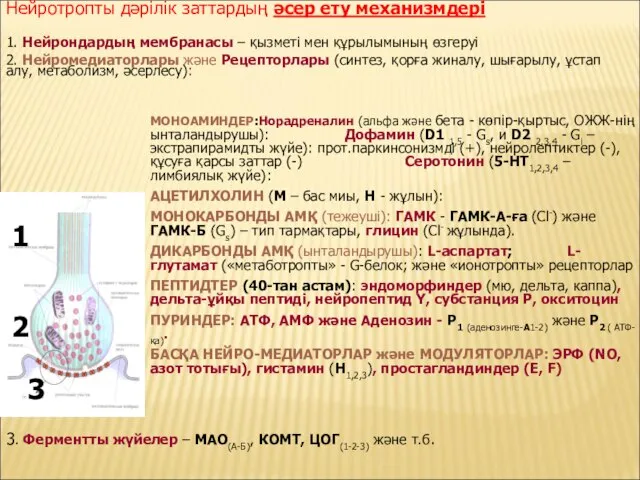 Нейротропты дәрілік заттардың әсер ету механизмдері 1. Нейрондардың мембранасы – қызметі