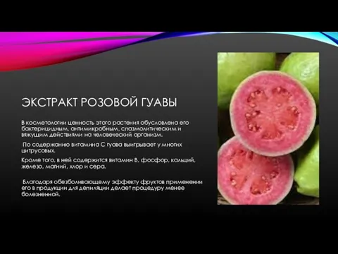 ЭКСТРАКТ РОЗОВОЙ ГУАВЫ В косметологии ценность этого растения обусловлена его бактерицидным,