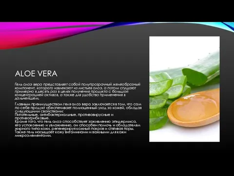 ALOE VERA Гель алоэ вера представляет собой полупрозрачный желеобразный компонент, которого