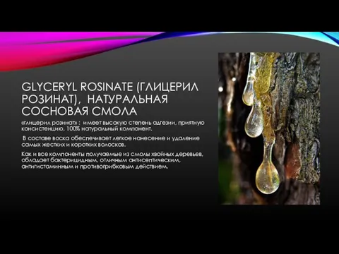 GLYCERYL ROSINATE (ГЛИЦЕРИЛ РОЗИНАТ), НАТУРАЛЬНАЯ СОСНОВАЯ СМОЛА «глицерил розинат» : имеет