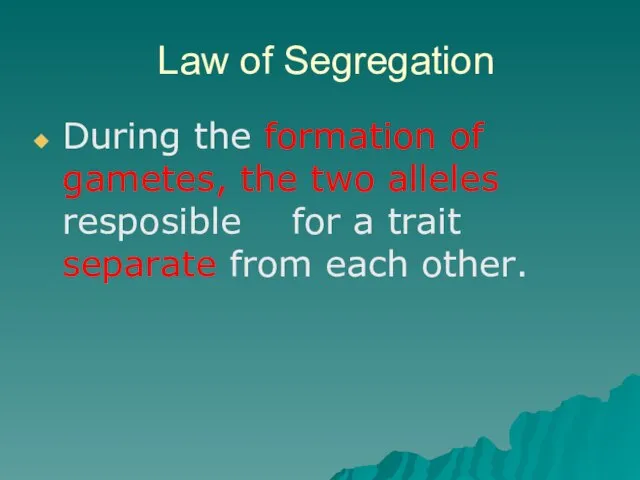 Law of Segregation During the formation of gametes, the two alleles