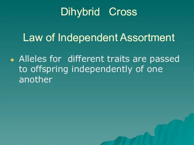 Dihybrid Cross Law of Independent Assortment Alleles for different traits are