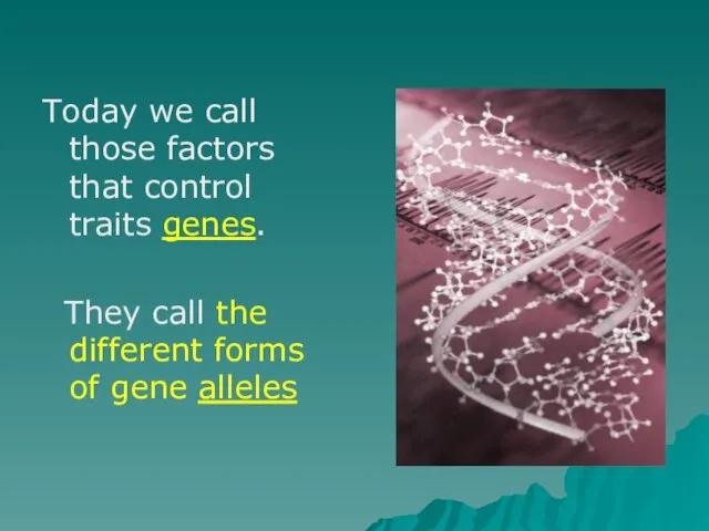 Today we call those factors that control traits genes. They call