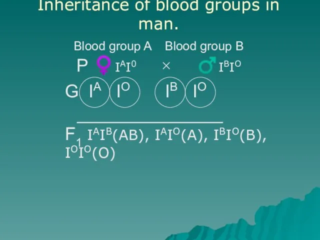 Inheritance of blood groups in man. Blood group A Blood group