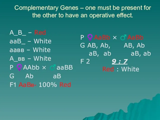 Complementary Genes – one must be present for the other to