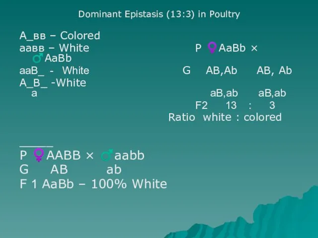 Dominant Epistasis (13:3) in Poultry А_вв – Colored аавв – White