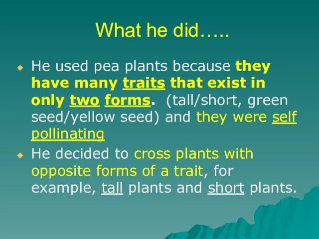 What he did….. He used pea plants because they have many