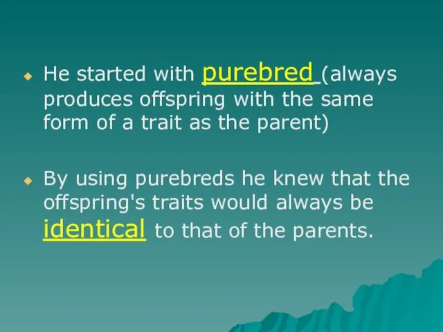 He started with purebred (always produces offspring with the same form