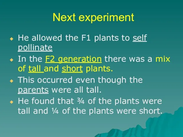 Next experiment He allowed the F1 plants to self pollinate In