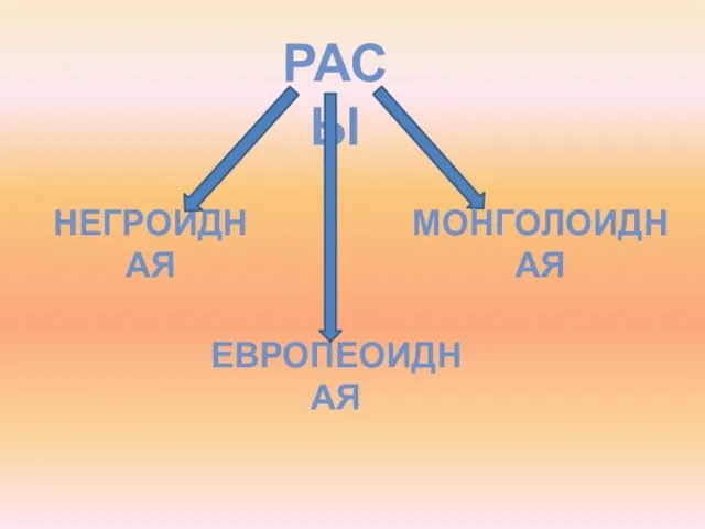 РАСЫ НЕГРОИДНАЯ МОНГОЛОИДНАЯ ЕВРОПЕОИДНАЯ