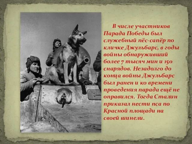 В числе участников Парада Победы был служебный пёс-сапёр по кличке Джульбарс,