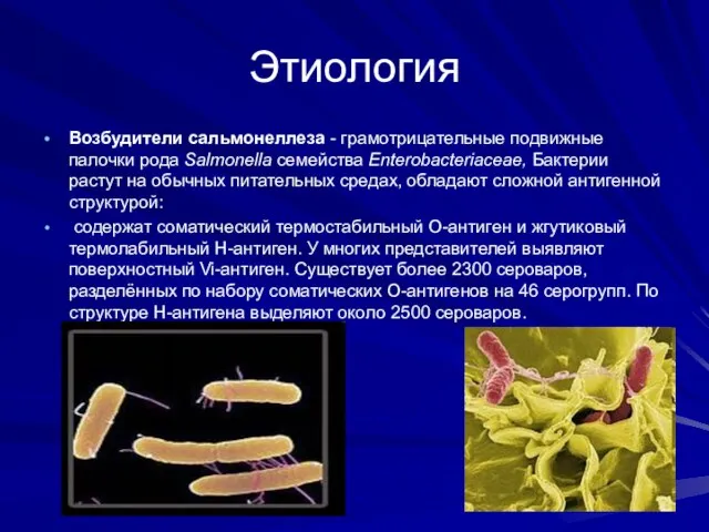 Этиология Возбудители сальмонеллеза - грамотрицательные подвижные палочки рода Salmonella семейства Enterobacteriaceae,