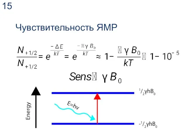 Чувствительность ЯМР