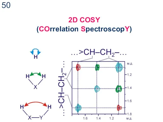 2D COSY (COrrelation SpectroscopY)