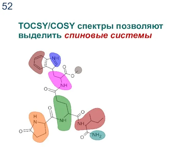 TOCSY/COSY спектры позволяют выделить спиновые системы