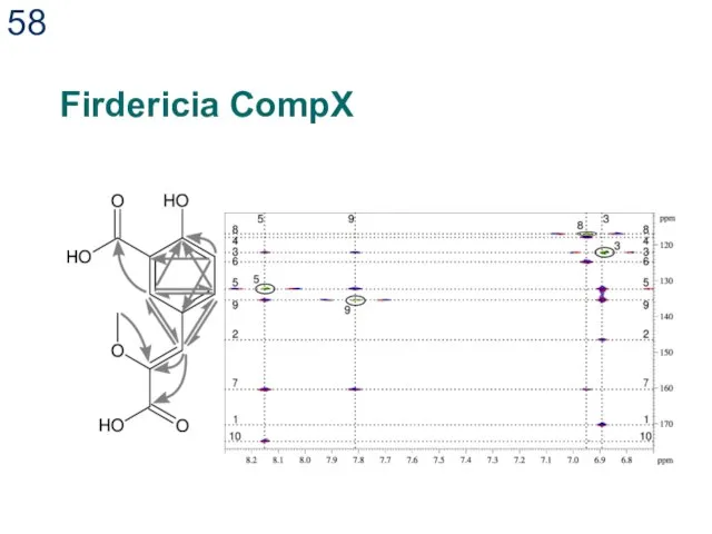 Firdericia CompX