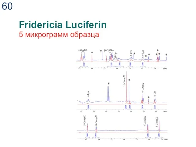 Fridericia Luciferin 5 микрограмм образца