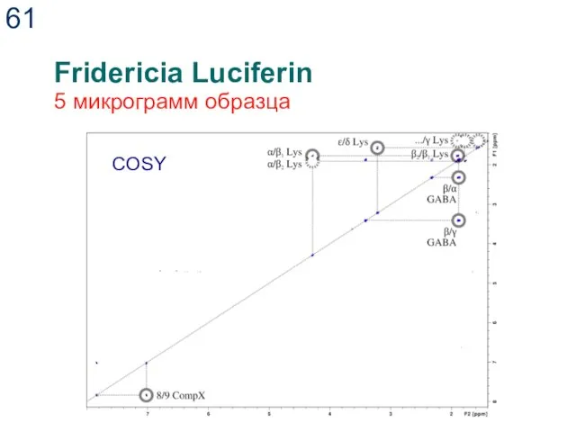 Fridericia Luciferin 5 микрограмм образца COSY