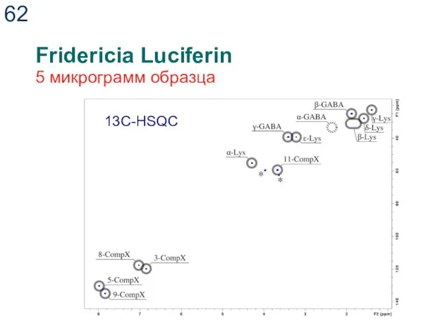 Fridericia Luciferin 5 микрограмм образца 13C-HSQC