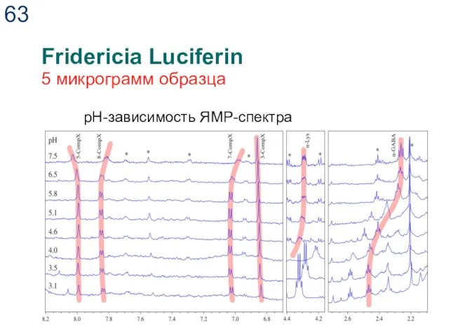 Fridericia Luciferin 5 микрограмм образца pH-зависимость ЯМР-спектра