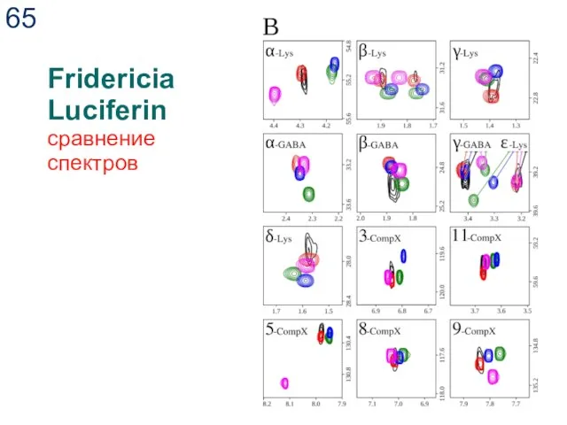 Fridericia Luciferin сравнение спектров