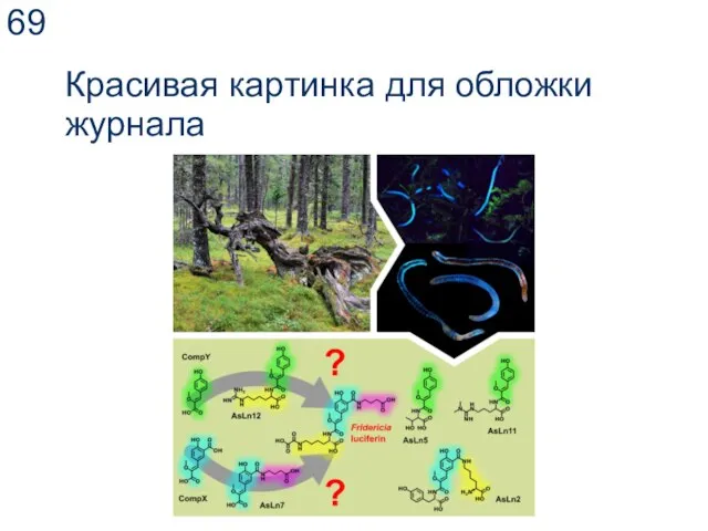 Красивая картинка для обложки журнала