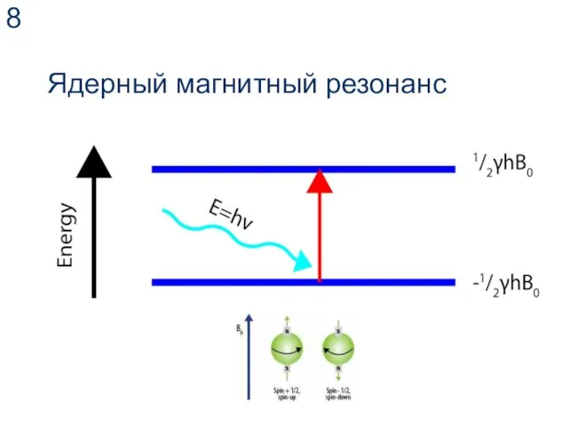 Ядерный магнитный резонанс