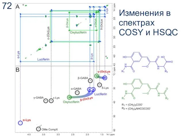 Изменения в спектрах COSY и HSQC