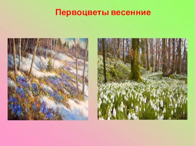 Первоцветы весенние