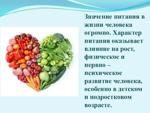 Значение питания в жизни человека огромно. Характер питания оказывает влияние на