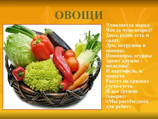 ОВОЩИ Удивляется народ: Что за чудо-огород? Здесь редис есть и салат,