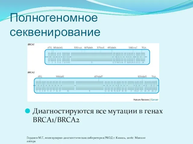 Полногеномное секвенирование Диагностируются все мутации в генах BRCA1/BRCA2 Гордиев М.Г., молекулярно-диагностическая