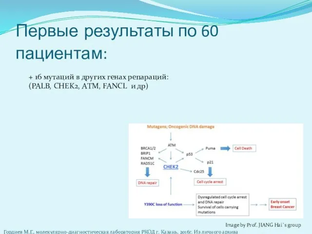 Первые результаты по 60 пациентам: + 16 мутаций в других генах