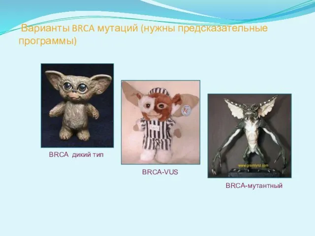 BRCA дикий тип BRCA-мутантный BRCA-VUS Варианты BRCA мутаций (нужны предсказательные программы)