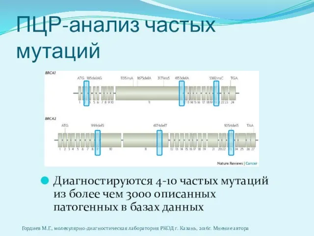 ПЦР-анализ частых мутаций Диагностируются 4-10 частых мутаций из более чем 3000