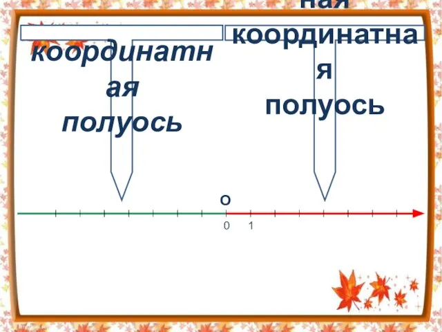 Отрицательная координатная полуось Положительная координатная полуось