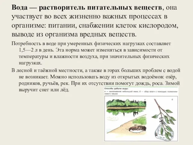 Вода — растворитель питательных веществ, она участвует во всех жизненно важных