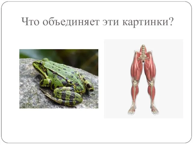 Что объединяет эти картинки?