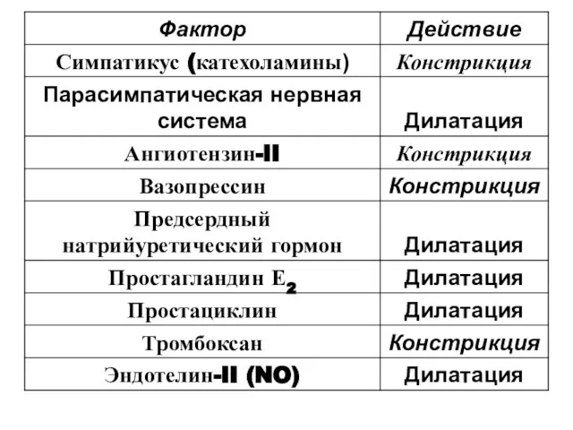 Основные факторы, влияющие на тонус коронаров