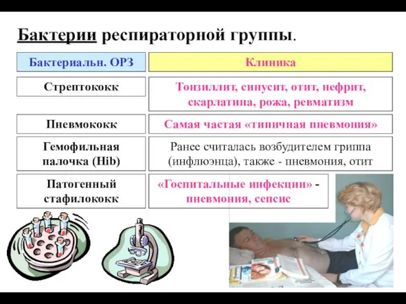 Бактерии респираторной группы. Бактериальн. ОРЗ Клиника Стрептококк Тонзиллит, синусит, отит, нефрит,