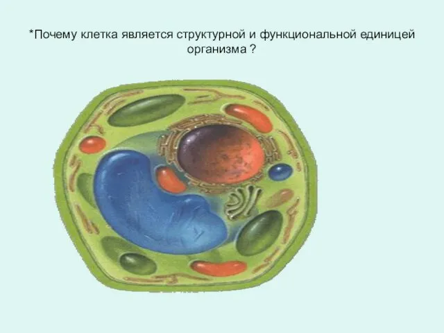 *Почему клетка является структурной и функциональной единицей организма ?