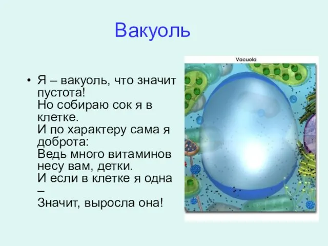 Вакуоль Я – вакуоль, что значит пустота! Но собираю сок я