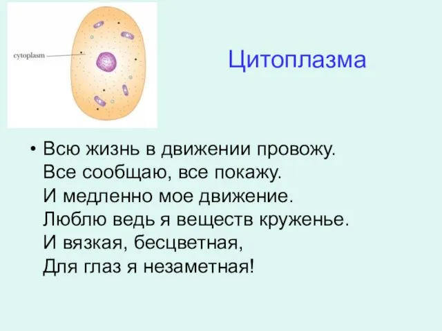 Цитоплазма Всю жизнь в движении провожу. Все сообщаю, все покажу. И