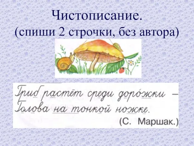 Чистописание. (спиши 2 строчки, без автора)