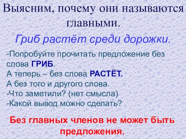 Выясним, почему они называются главными. Гриб растёт среди дорожки. -Попробуйте прочитать